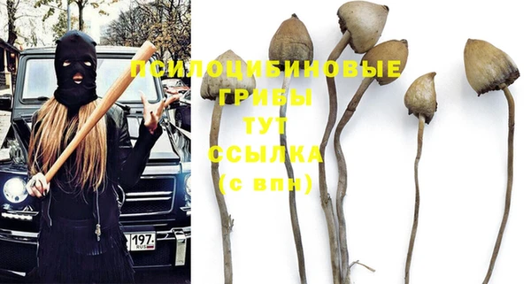 альфа пвп Беломорск